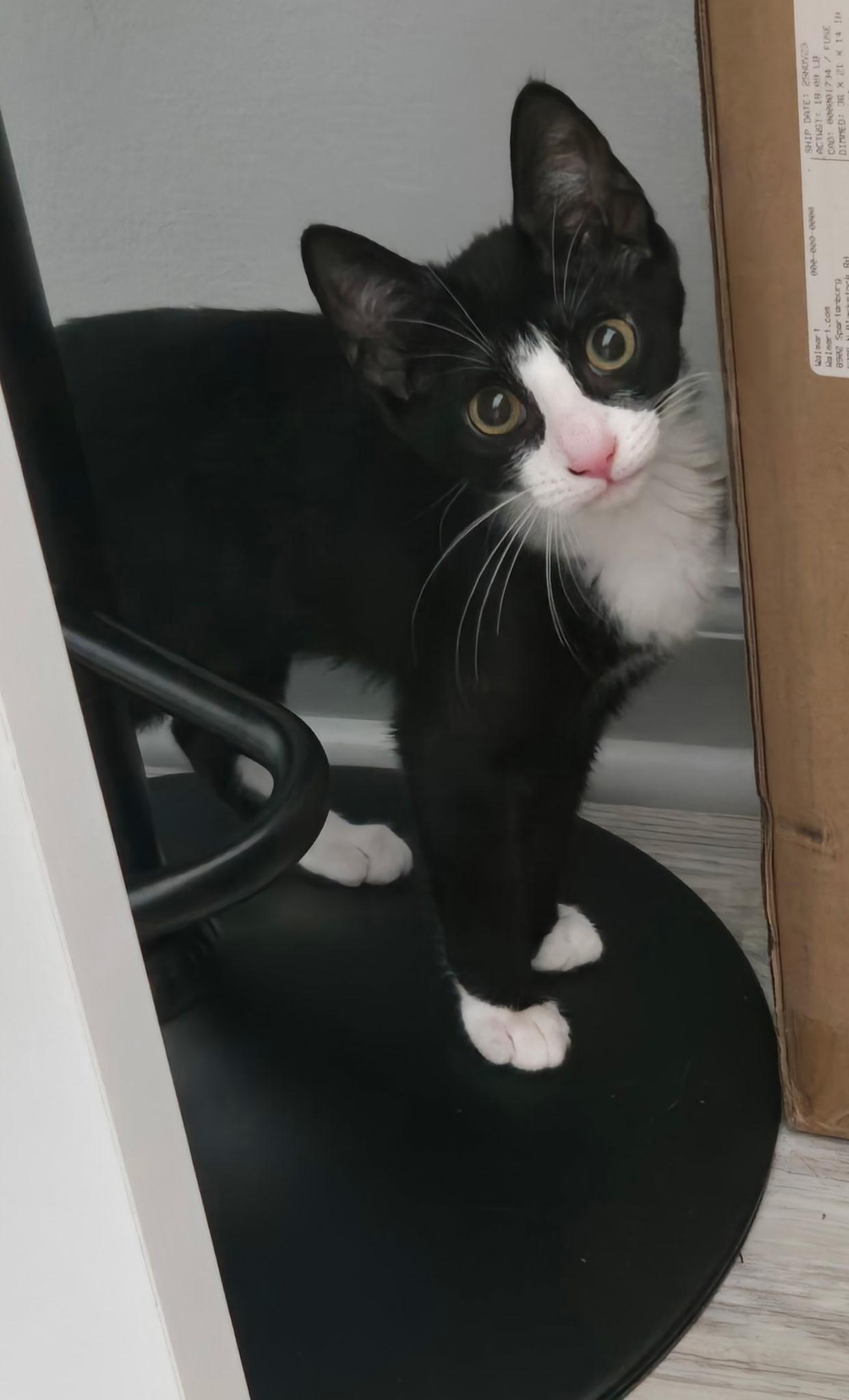 Bo