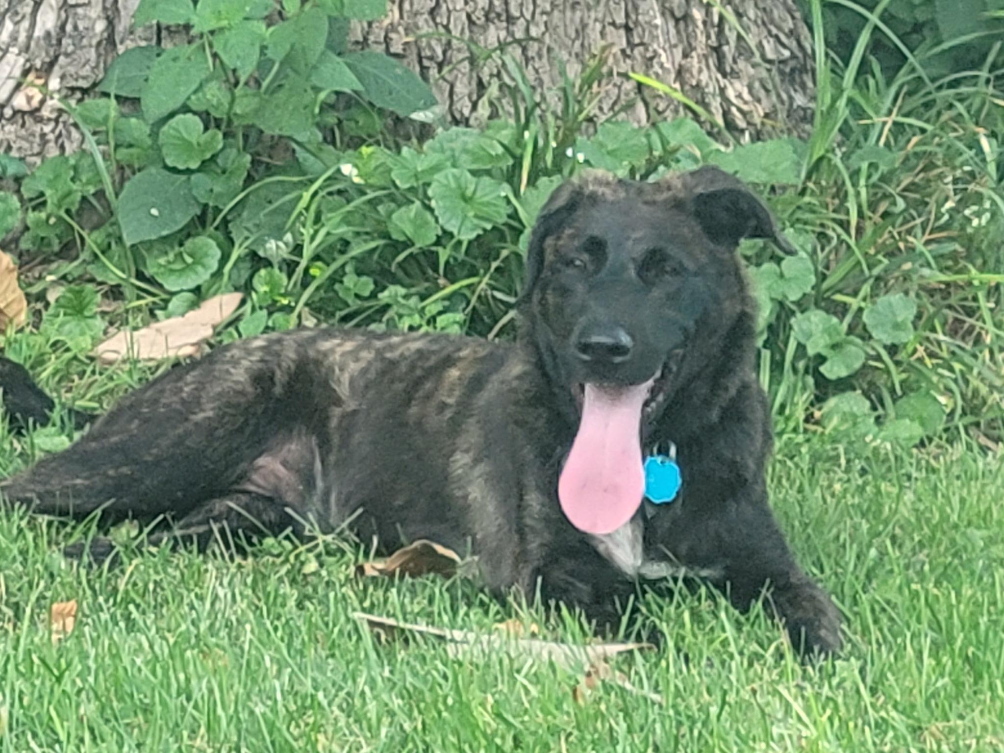 Leo