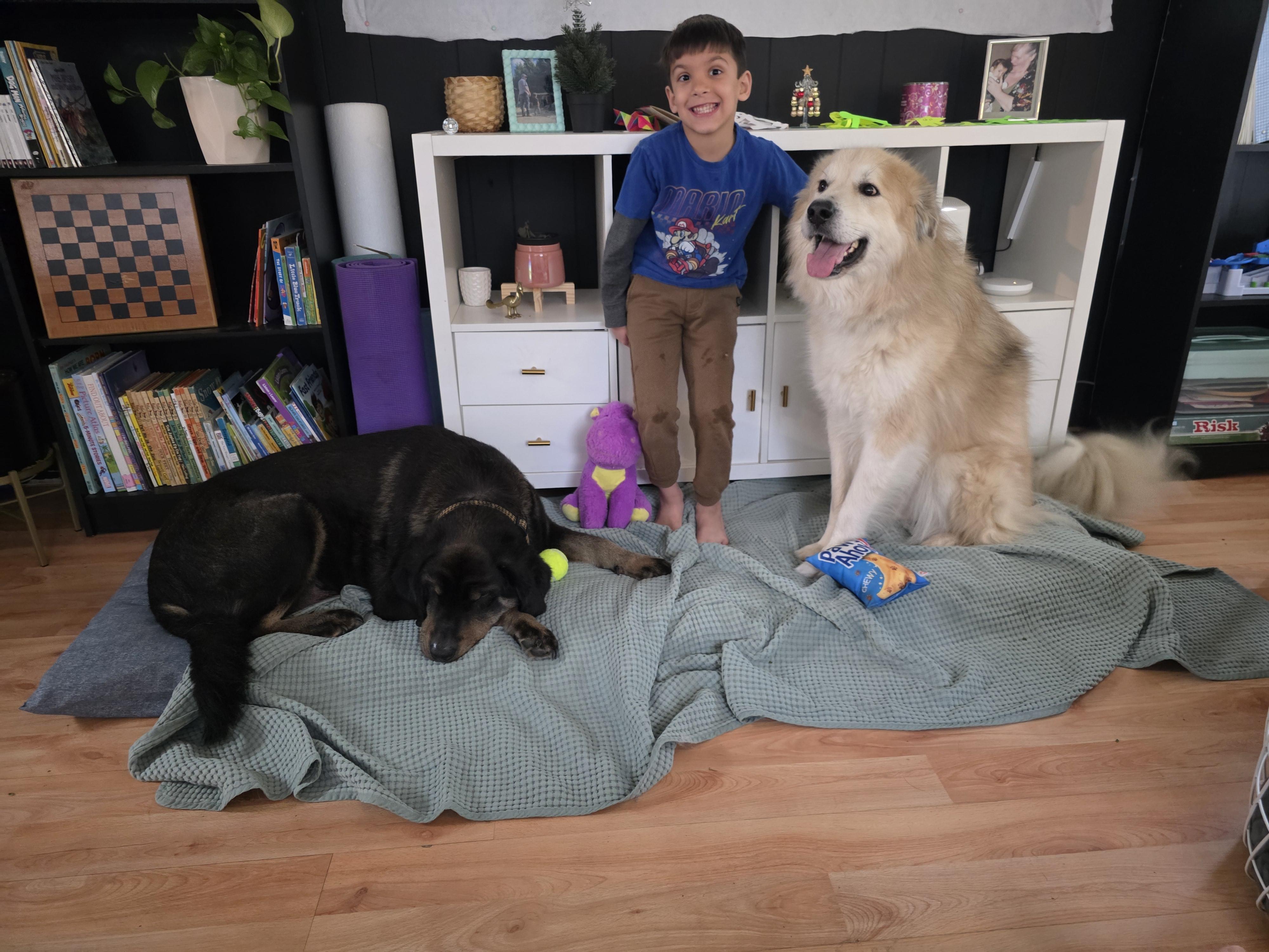 Enlarge ZEUS, a ADOPTABLE mixed breed in Surrey, BC image 3/4