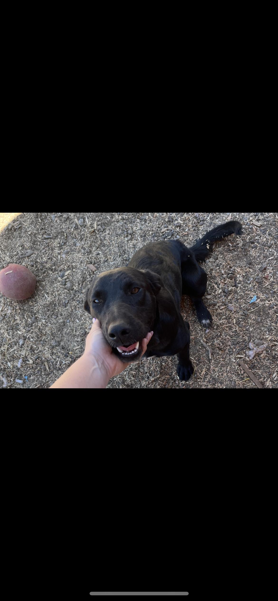 Betty thumbnail 2