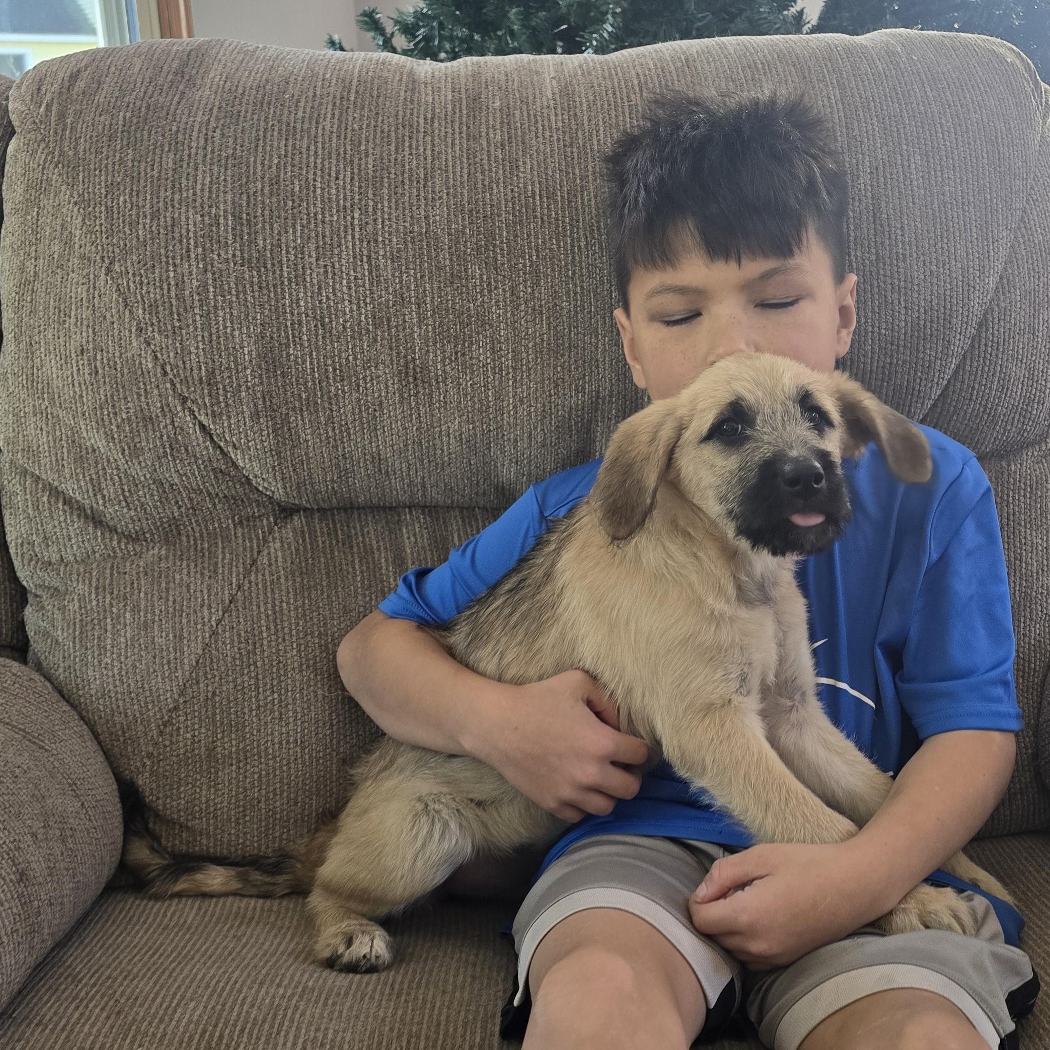 Oakley (fostered in new england), a Adoptable mixed breed in Milford, MA image 2/6