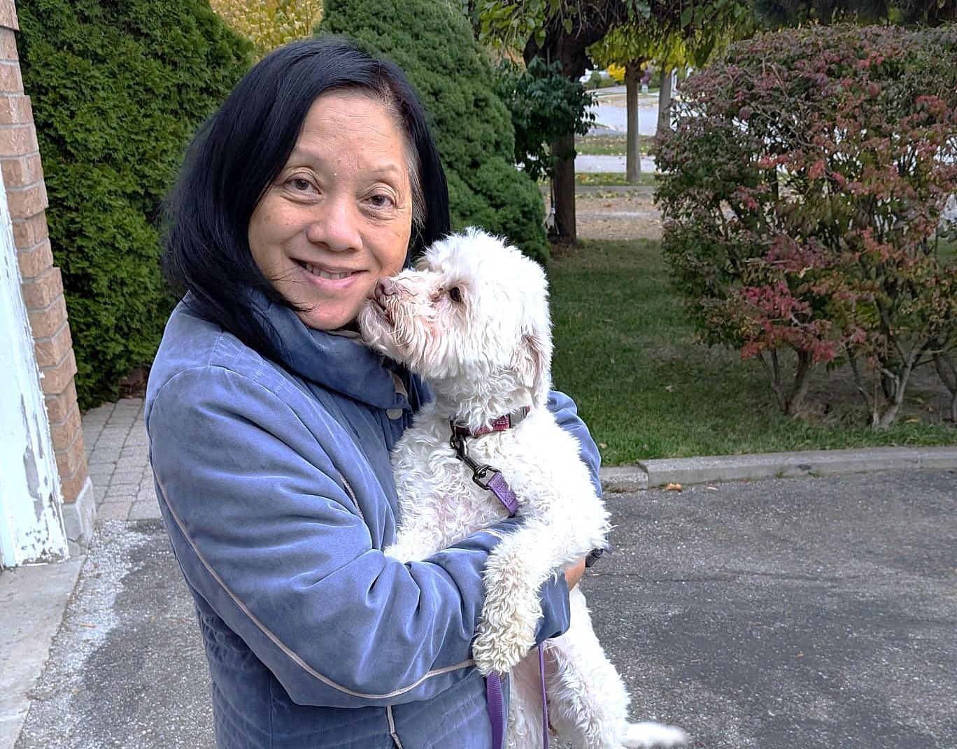 Enlarge Daisy, an adopted mixed breed in Mississauga, ON image 2/5