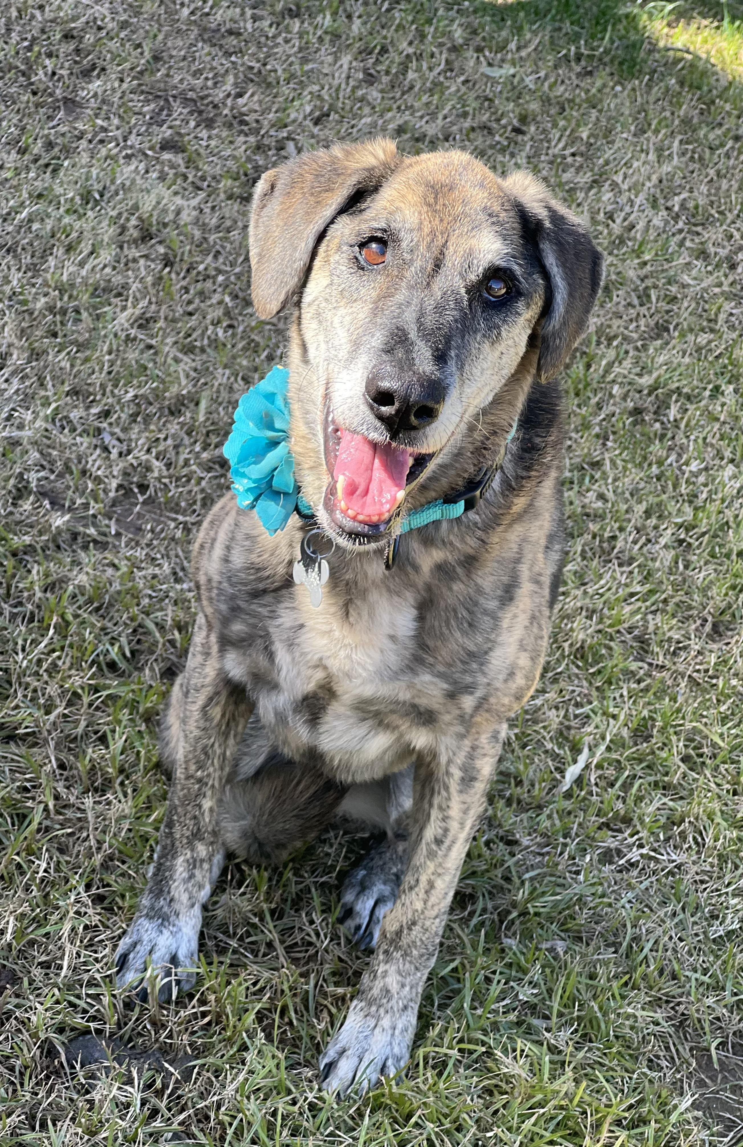 Maddie, Senior Female unknown