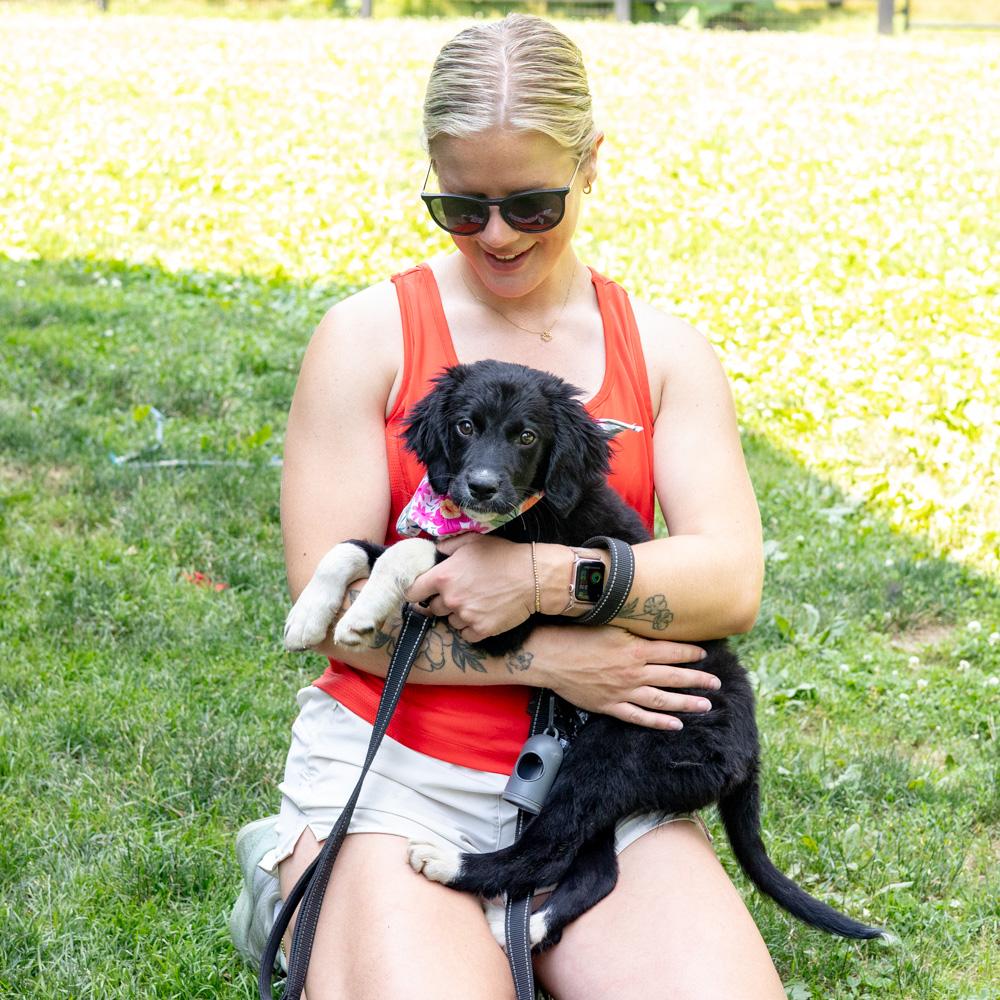 Marina (Female) Avail 7/11, an adopted mixed breed in West Grove, PA image 4/6