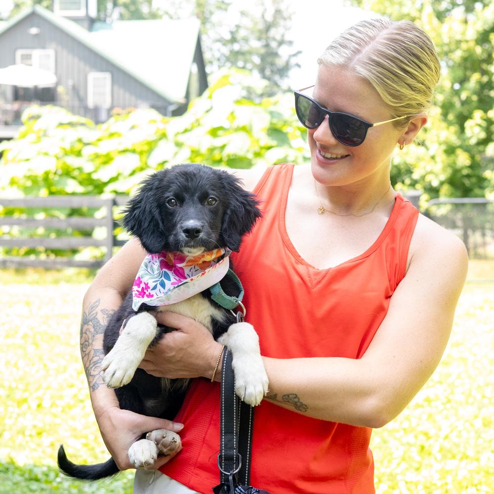 Marina (Female) Avail 7/11, an adopted mixed breed in West Grove, PA image 2/6