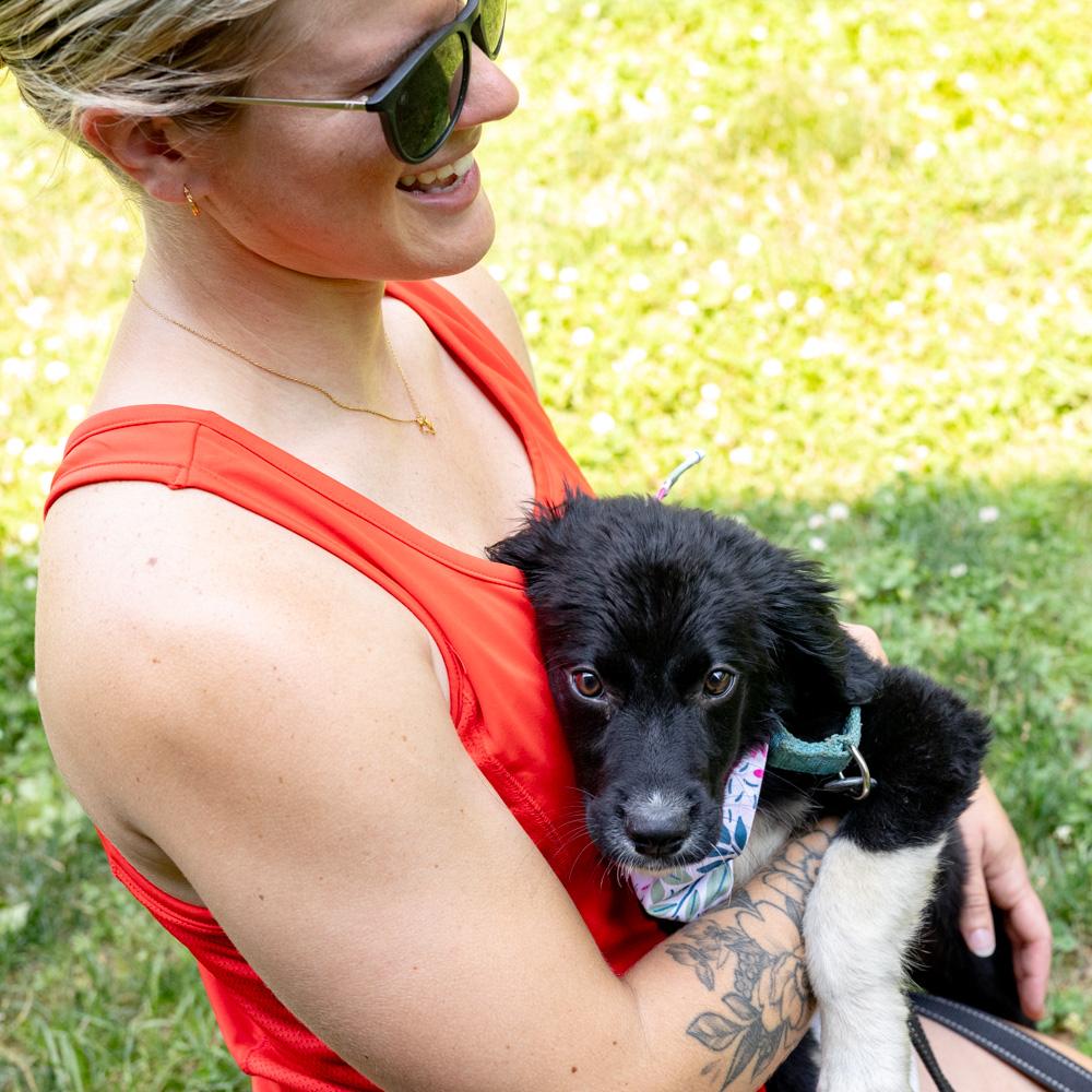 Marina (Female) Avail 7/11, an adopted mixed breed in West Grove, PA image 6/6