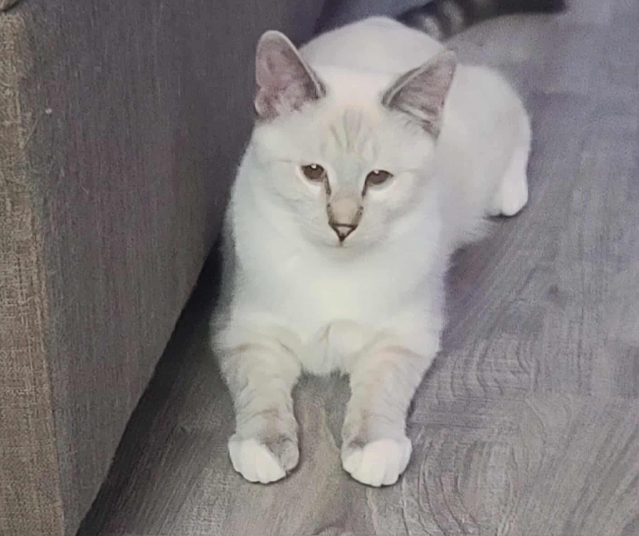 Catrick Swayze