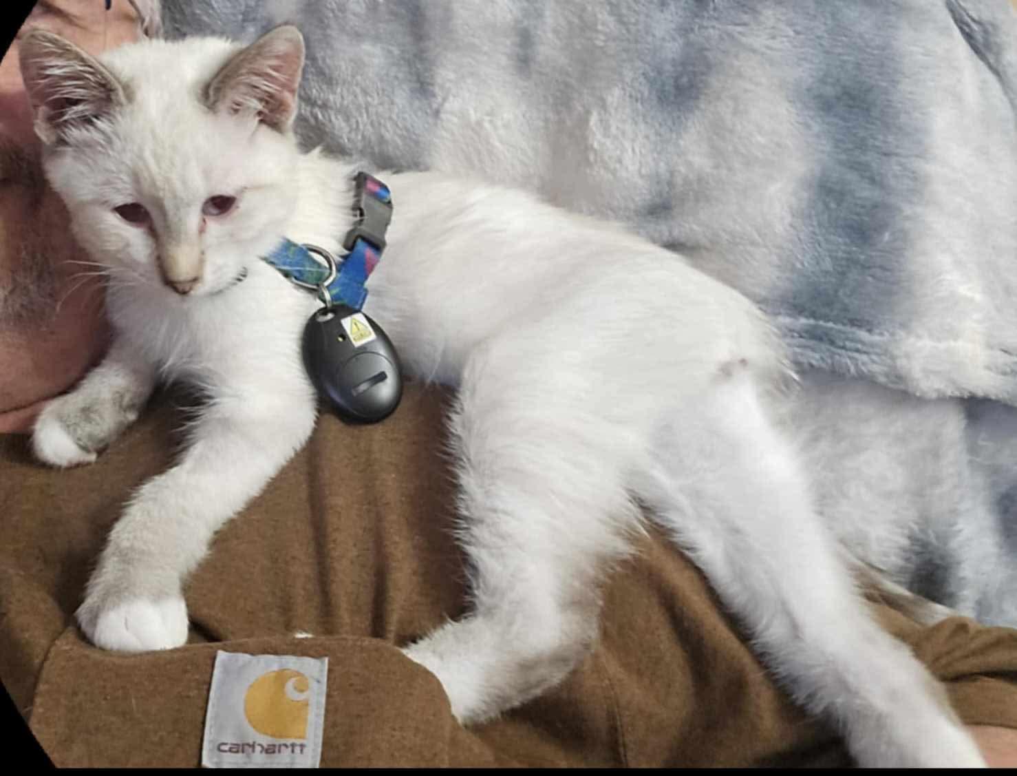 Catrick Swayze, Baby Male unknown