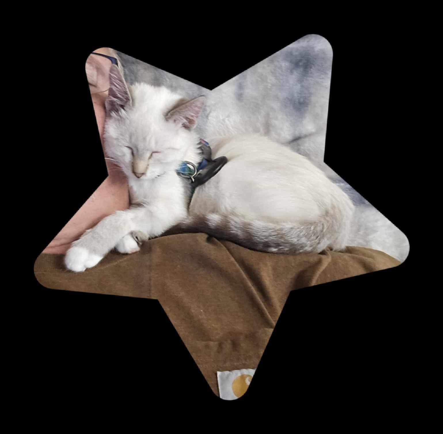 Catrick Swayze photo 2