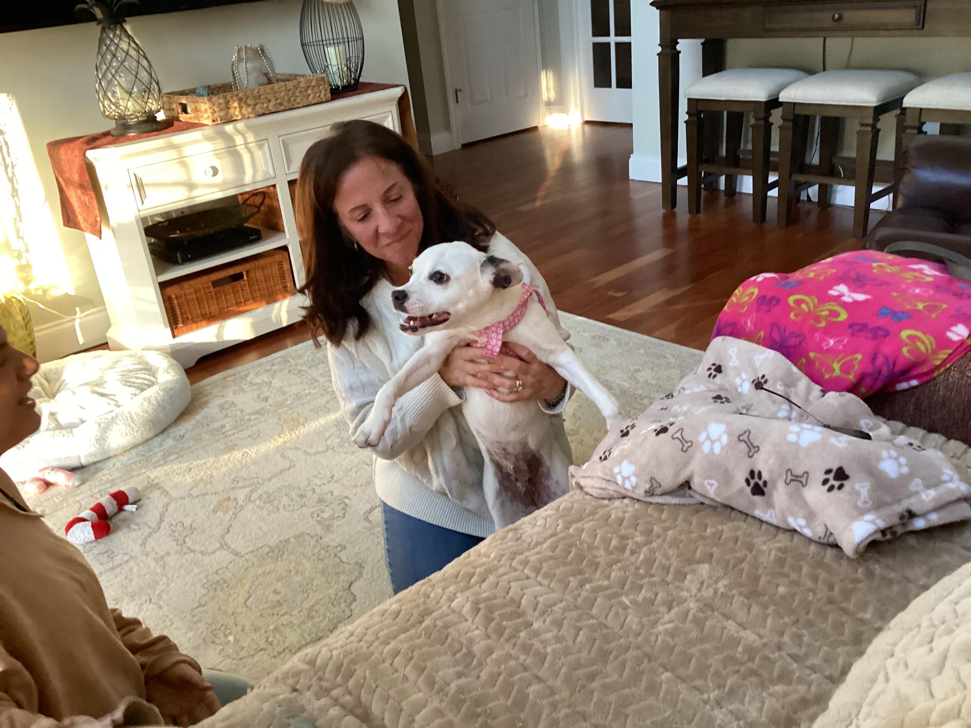 Enlarge Bunny, a ADOPTABLE mixed breed in Barnegat, NJ image 2/4