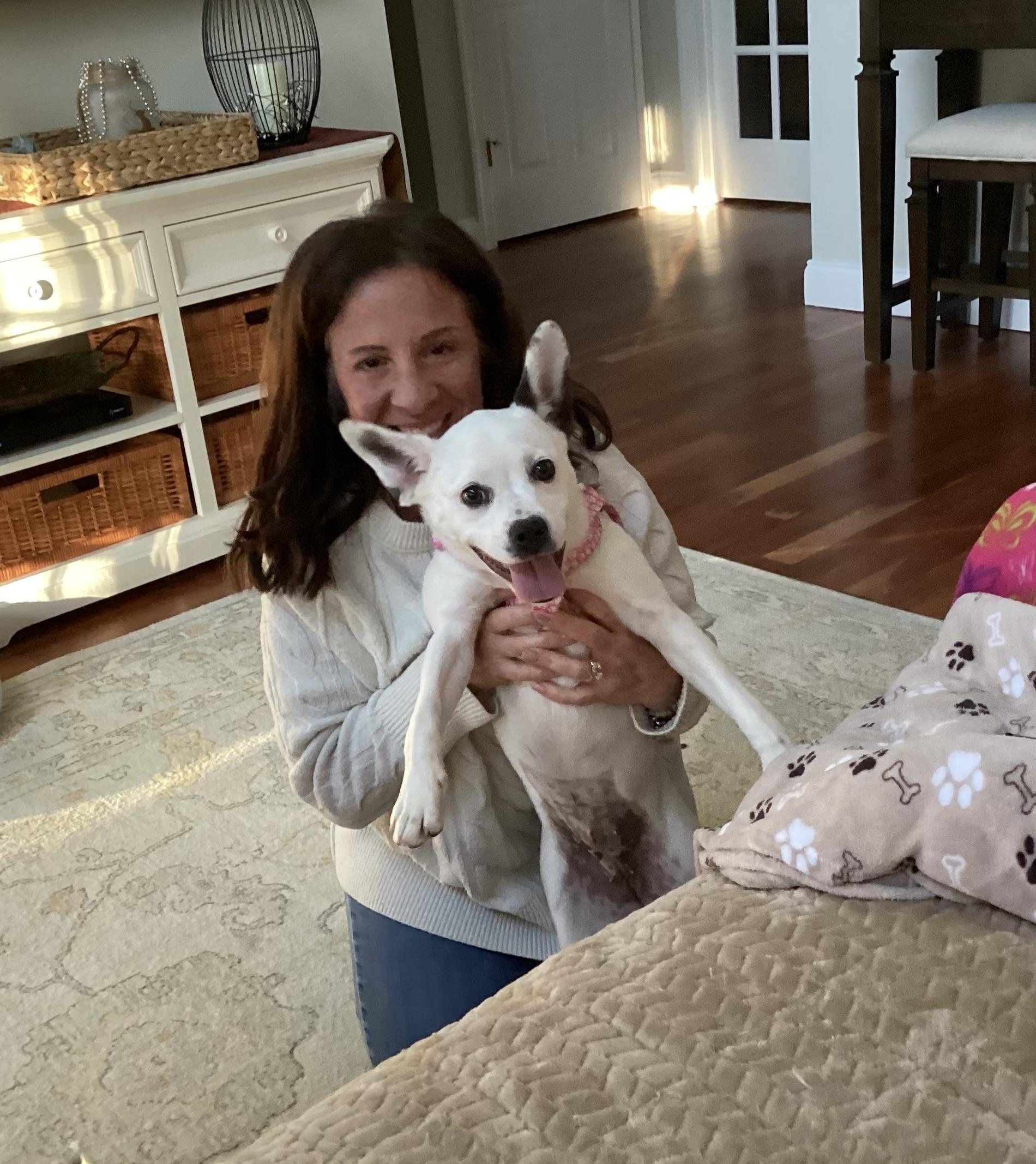 Enlarge Bunny, a ADOPTABLE mixed breed in Barnegat, NJ image 3/4