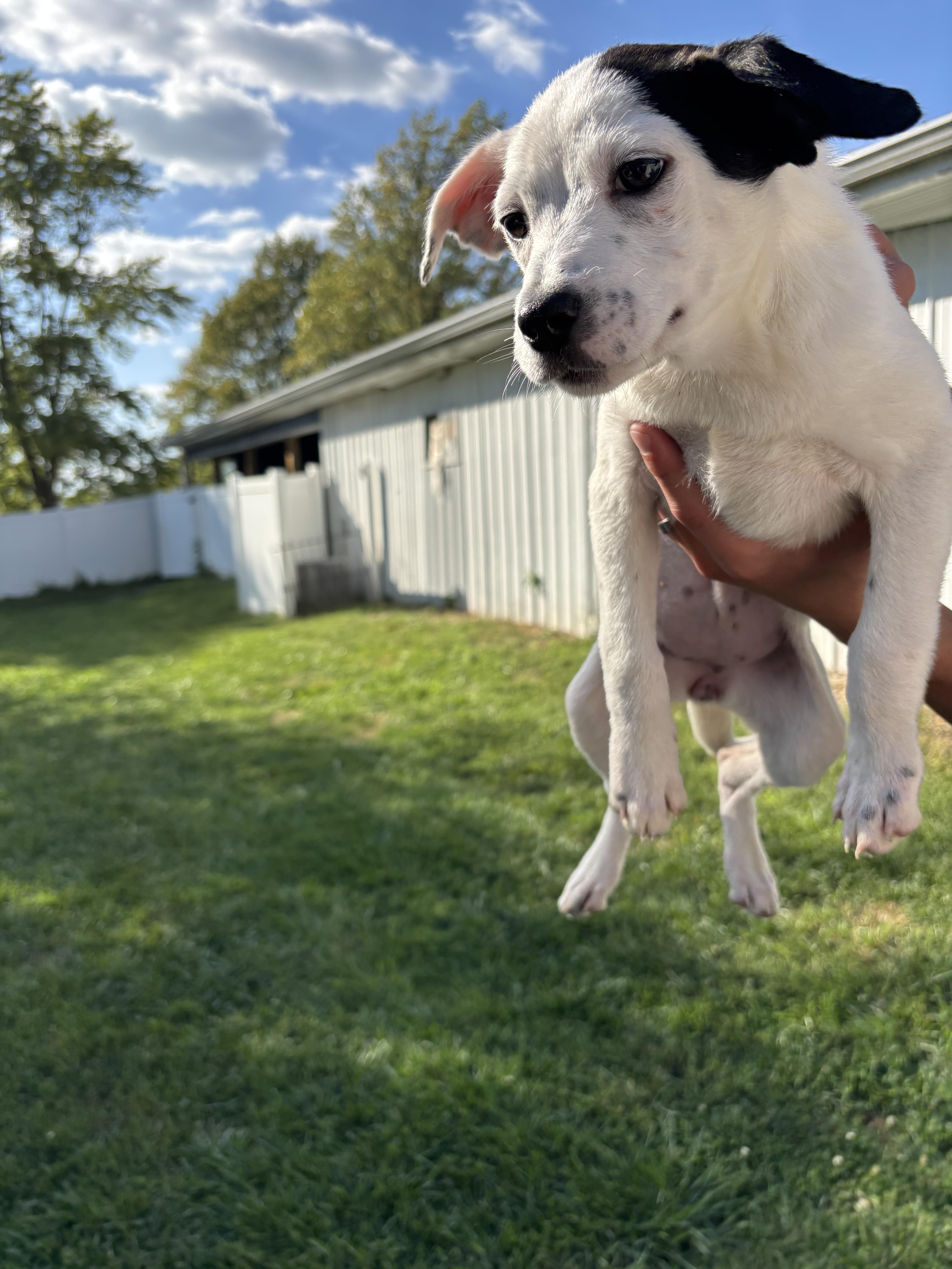 Quincy