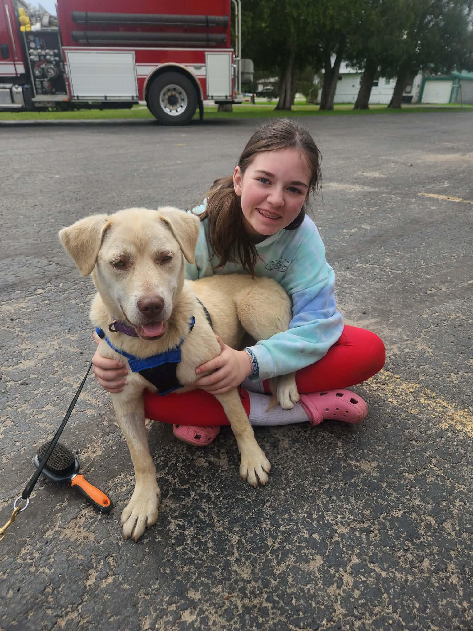 Skye, a Adoptable Mixed Breed in Heuvelton, NY image 4/5