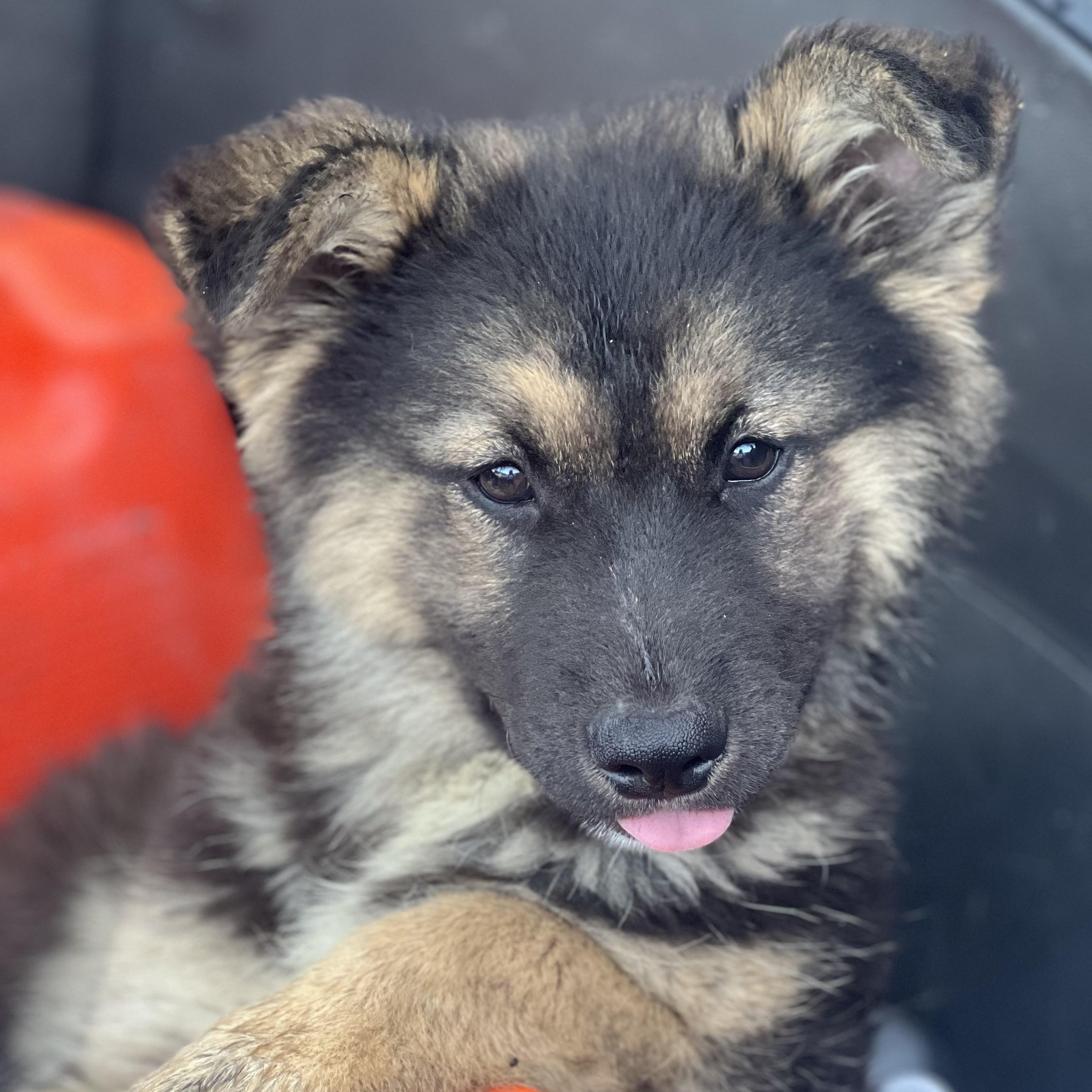 Talia~ Loves To Be thumbnail 2