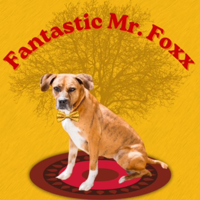 Fantastic Mr. Foxx, a Adoptable mixed breed in Fort Collins, CO image 5/6