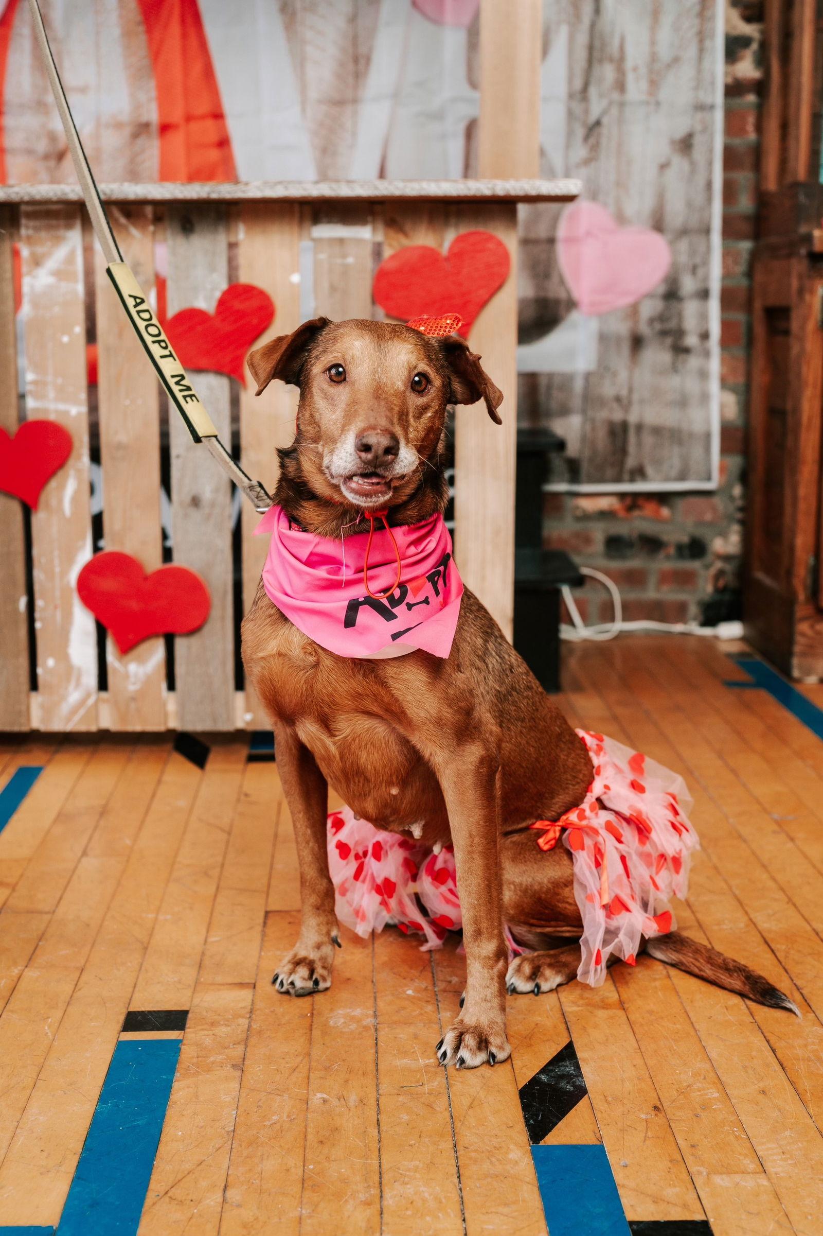 Reba - Ready to Be Loved — thumbnail 3