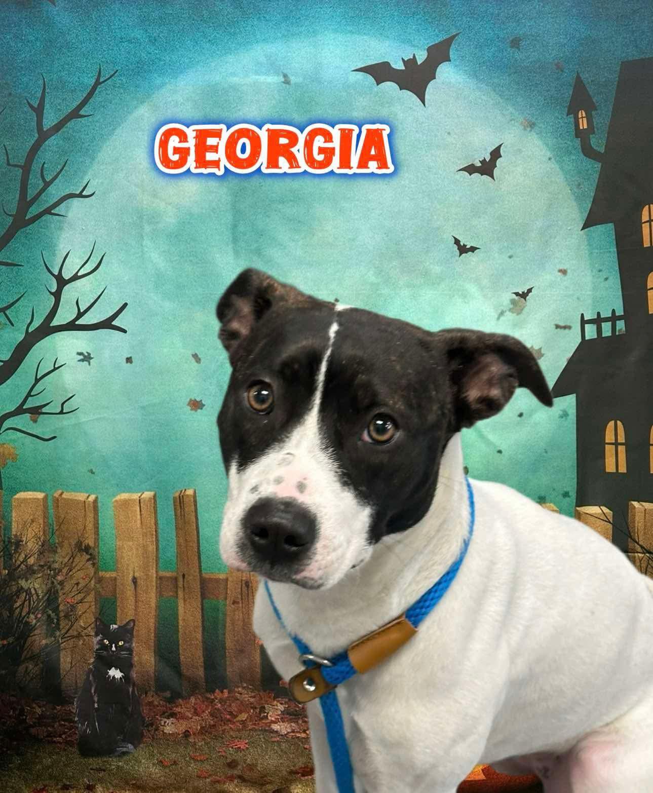 Georgia