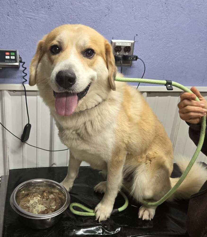 Kaiser Roll thumbnail 2