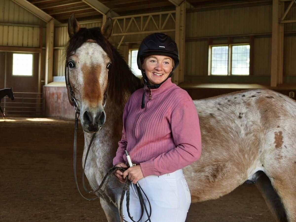 Enlarge Donatello - 365 Division, a Adoptable Appaloosa in Huntington, WV image 1/3