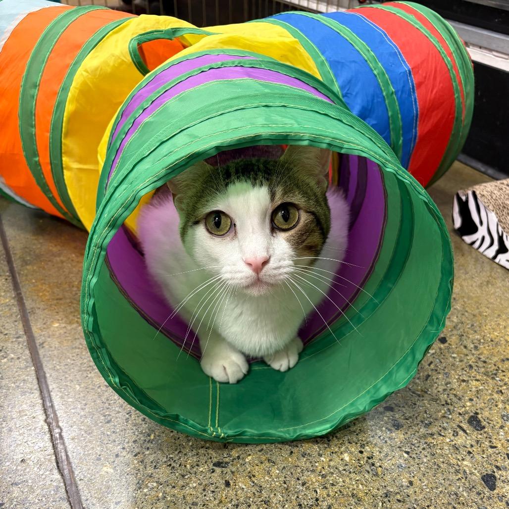 Cole — thumbnail 2