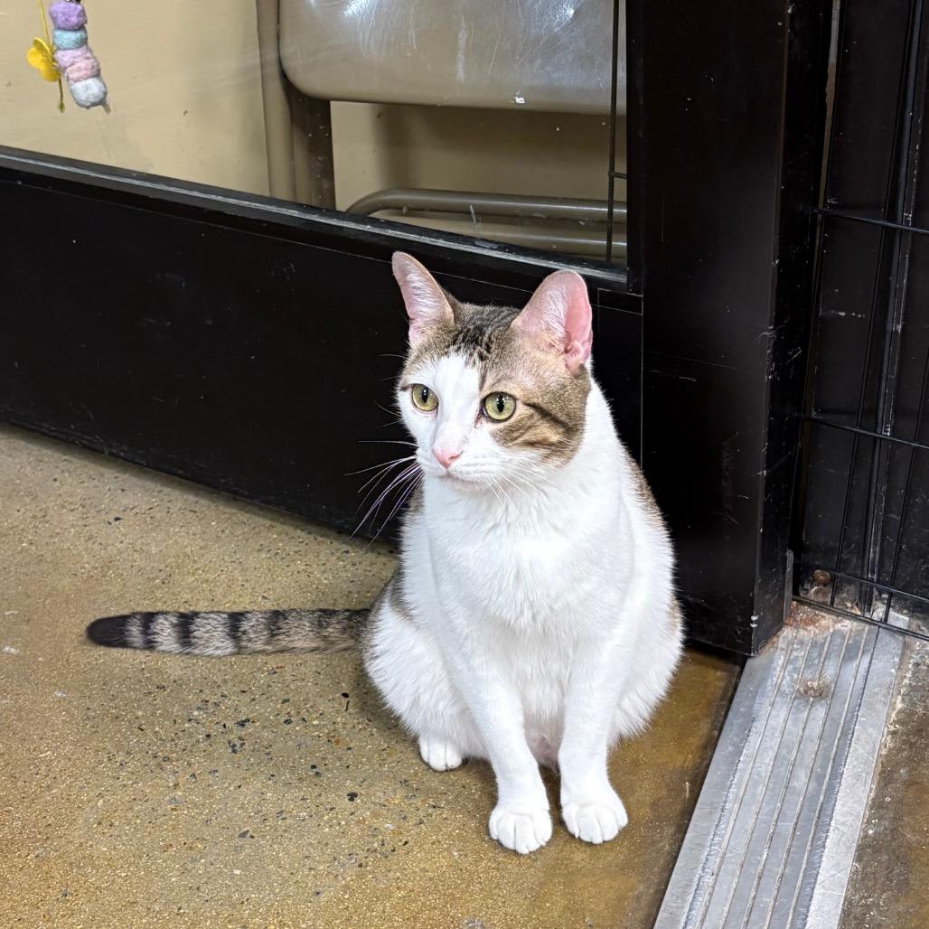 Cole — thumbnail 3