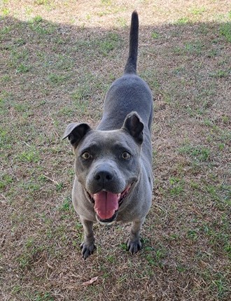 Hope, Adult Female unknown