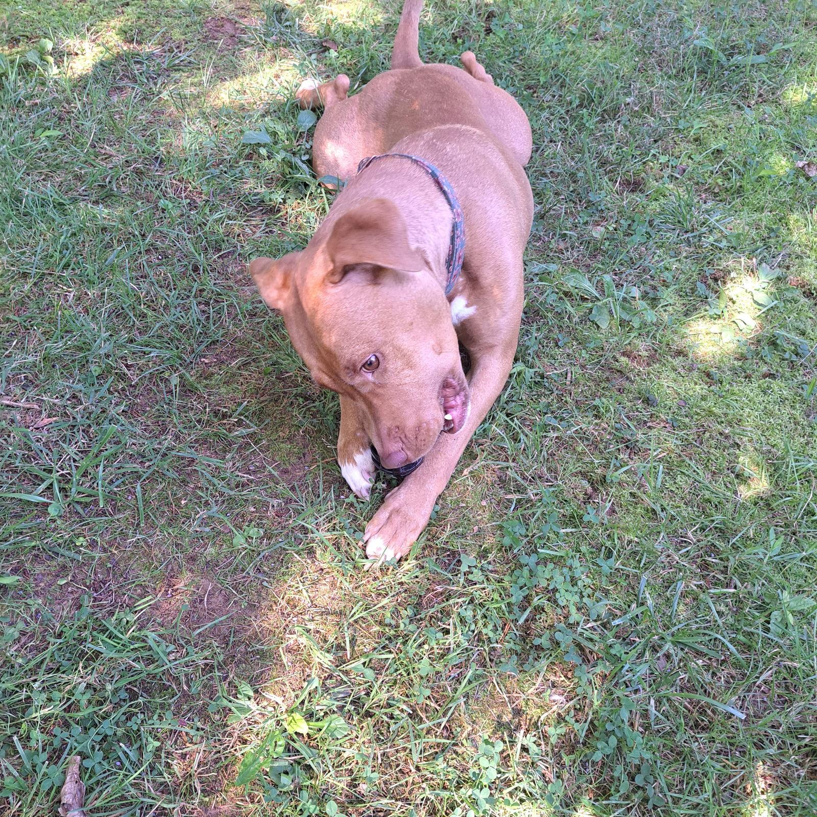 Juicy — thumbnail 3