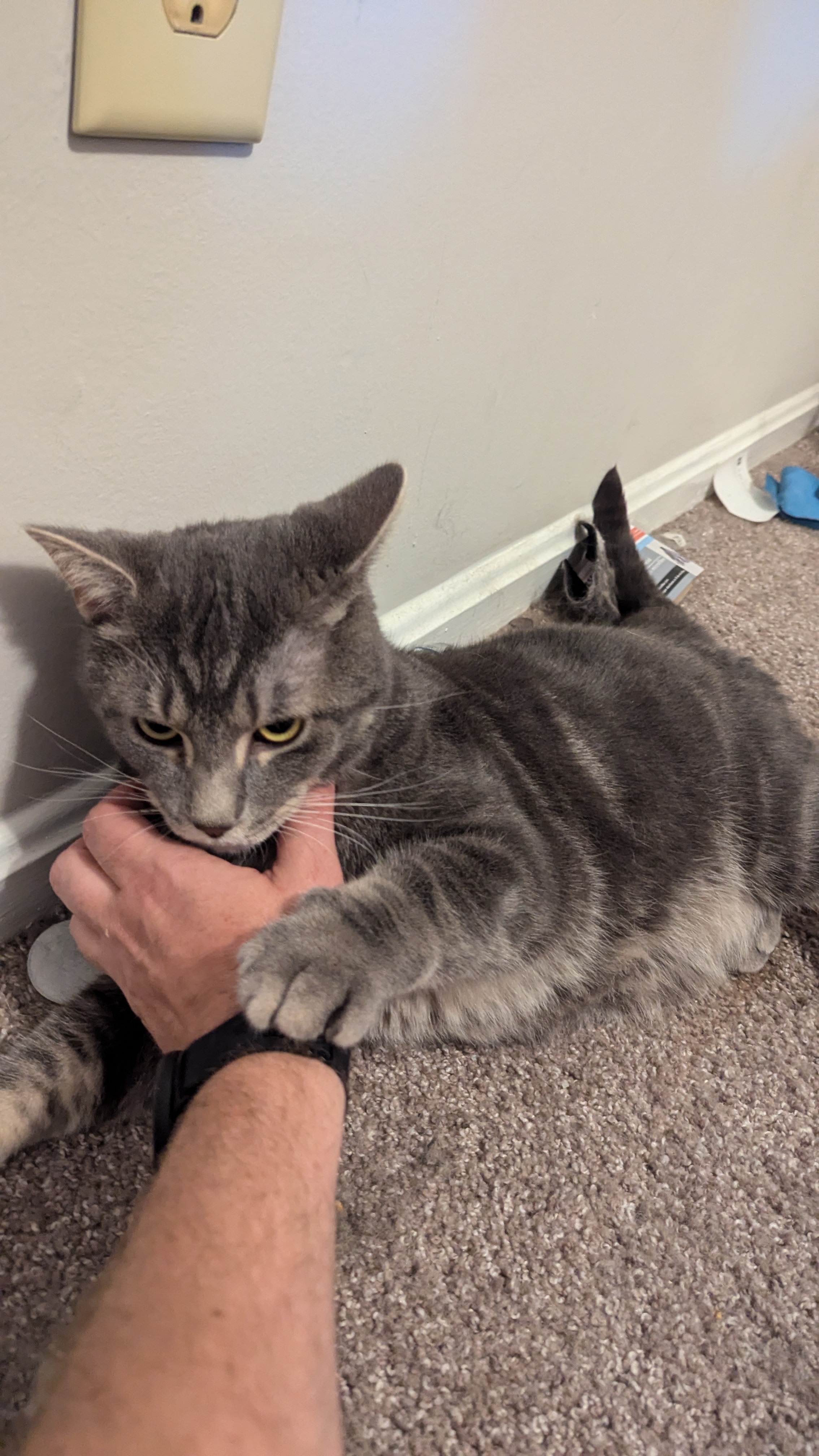 Monty and Smokey