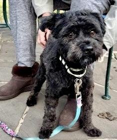 Stacy Sue thumbnail 4