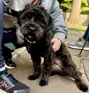 Stacy Sue thumbnail 2