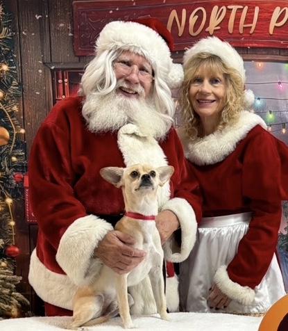 Tito, a Adoptable mixed breed in Scottsdale, AZ image 5/6