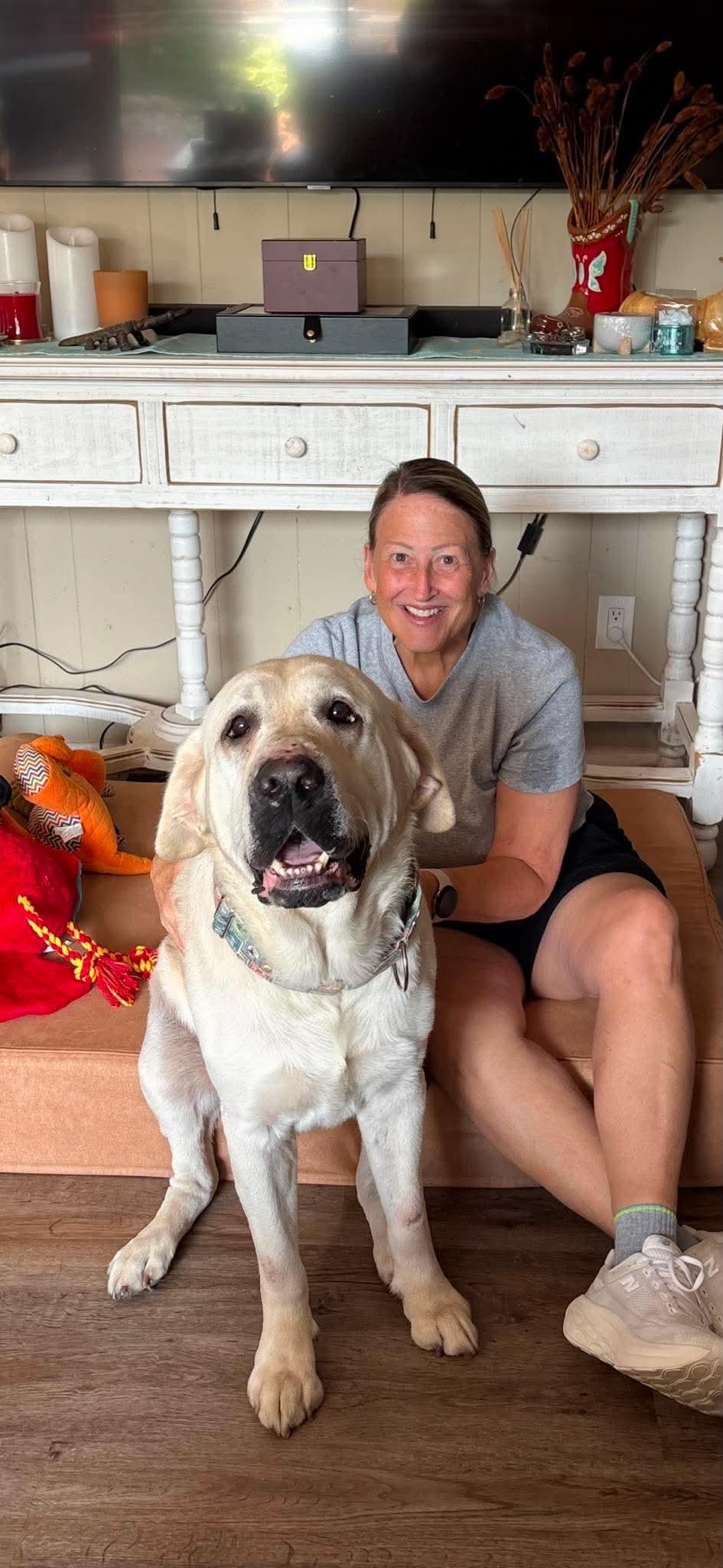 Casdian, adopted, Adult Male Yellow Labrador Retriever.