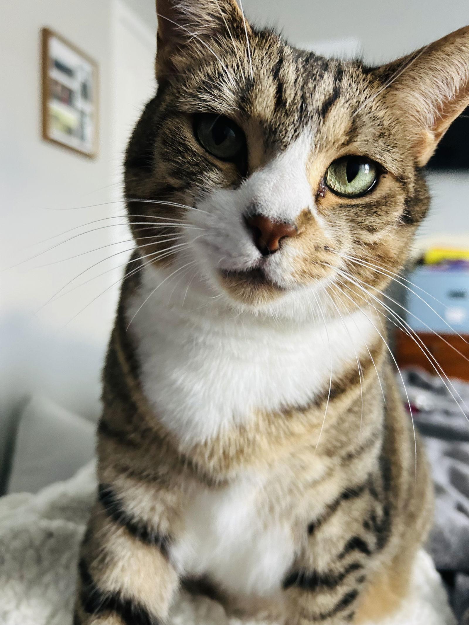 Sprite — thumbnail 3