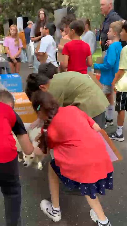 Enlarge Shanty, a Adopted mixed breed in Cambridge, ON video 6/6