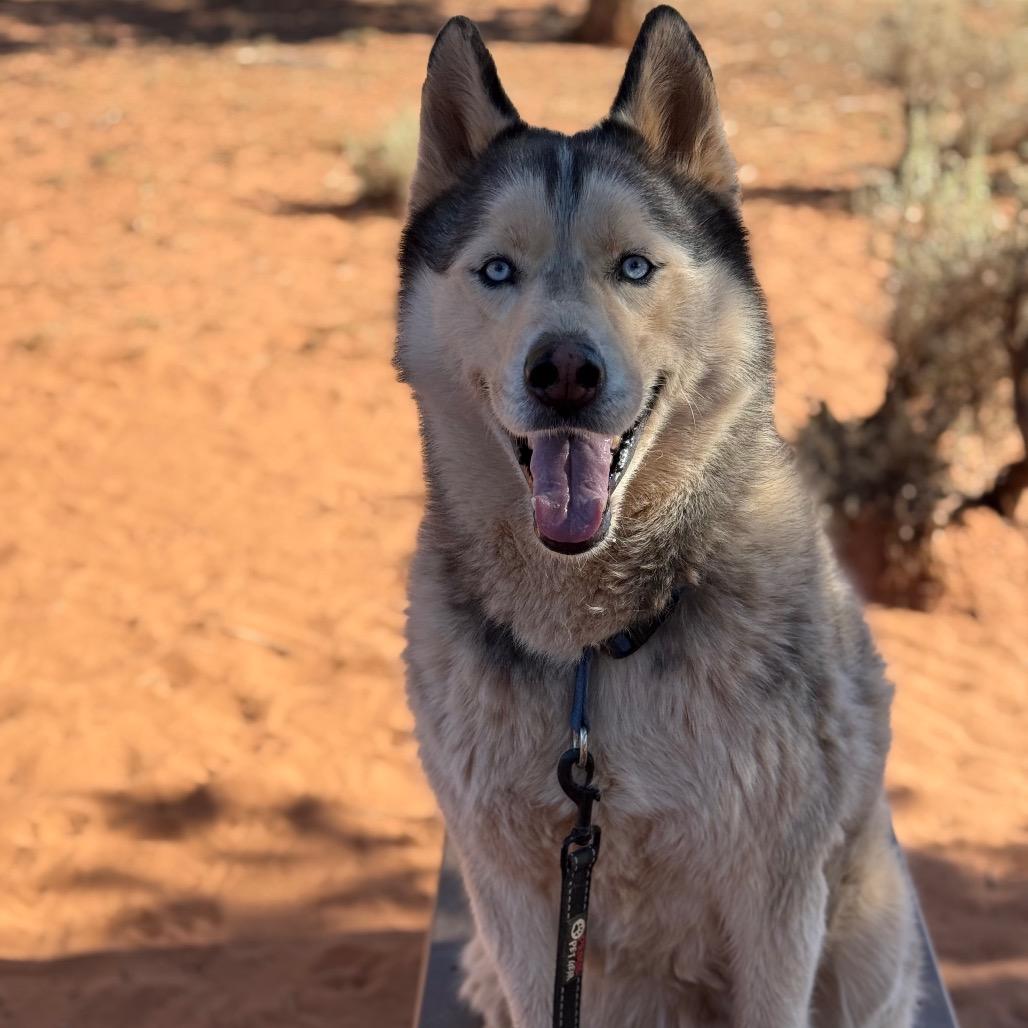 Hilo — thumbnail 3