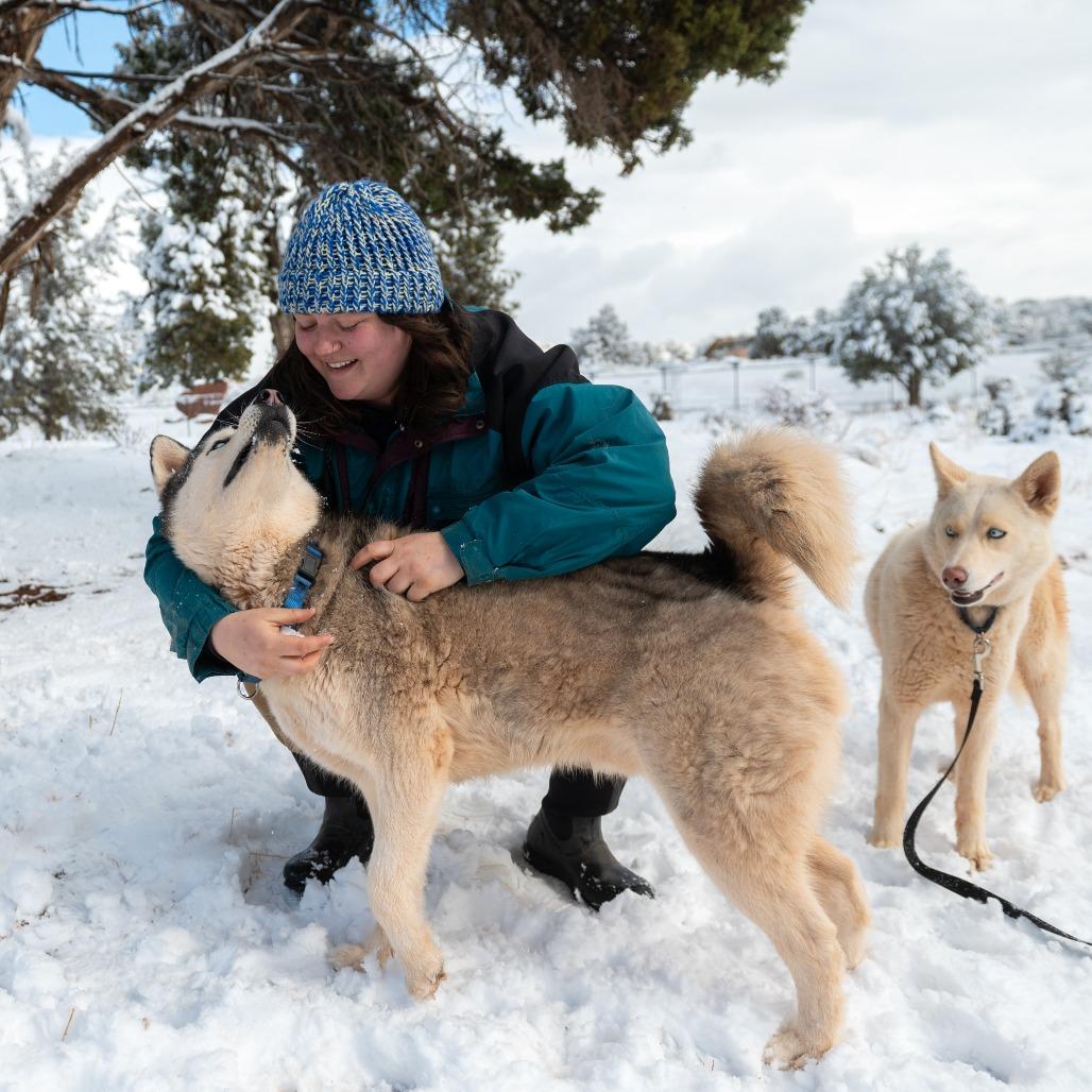 Hilo — thumbnail 4