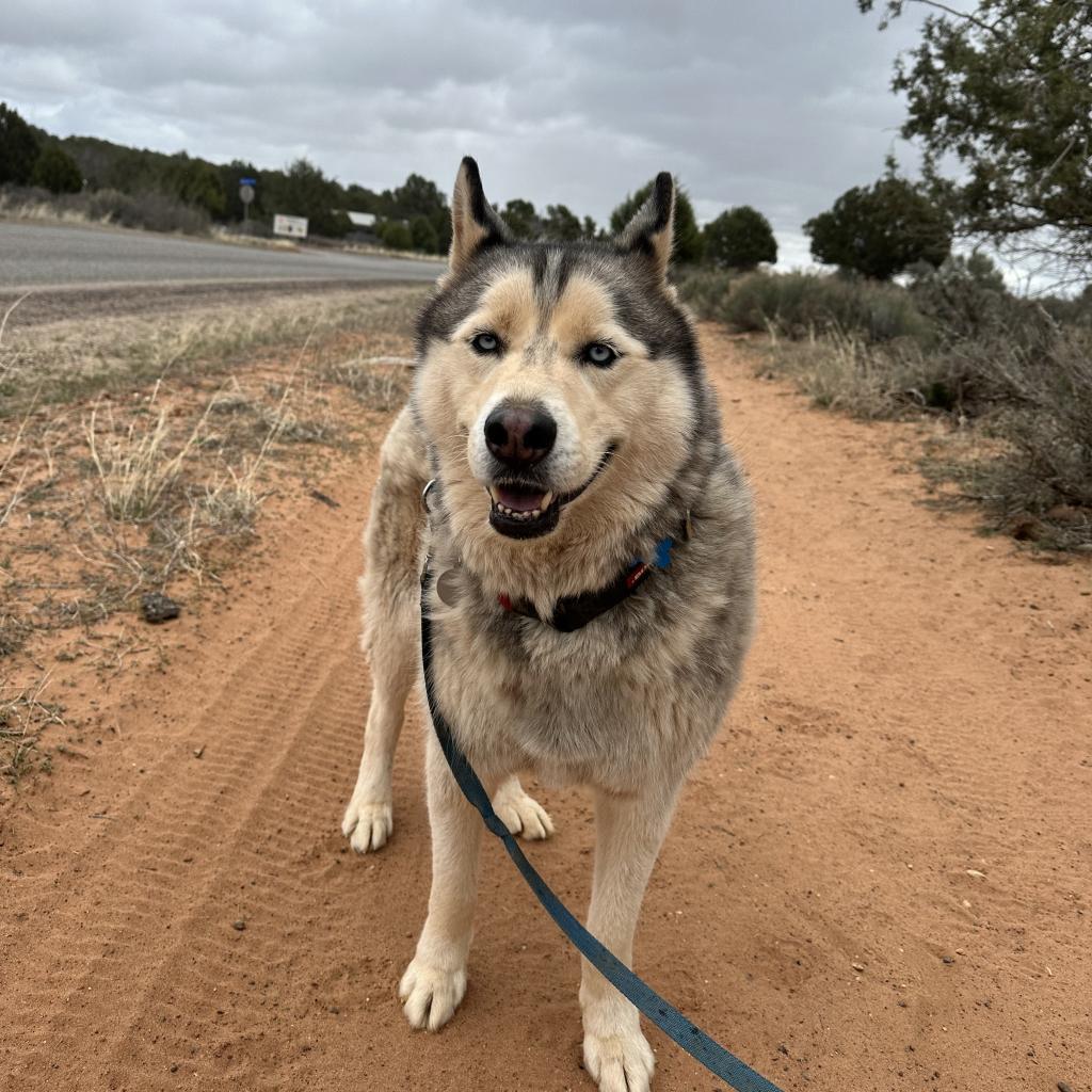 Hilo — thumbnail 5