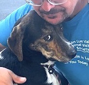 Effie, a Adoptable mixed breed in San Luis, CO image 6/6