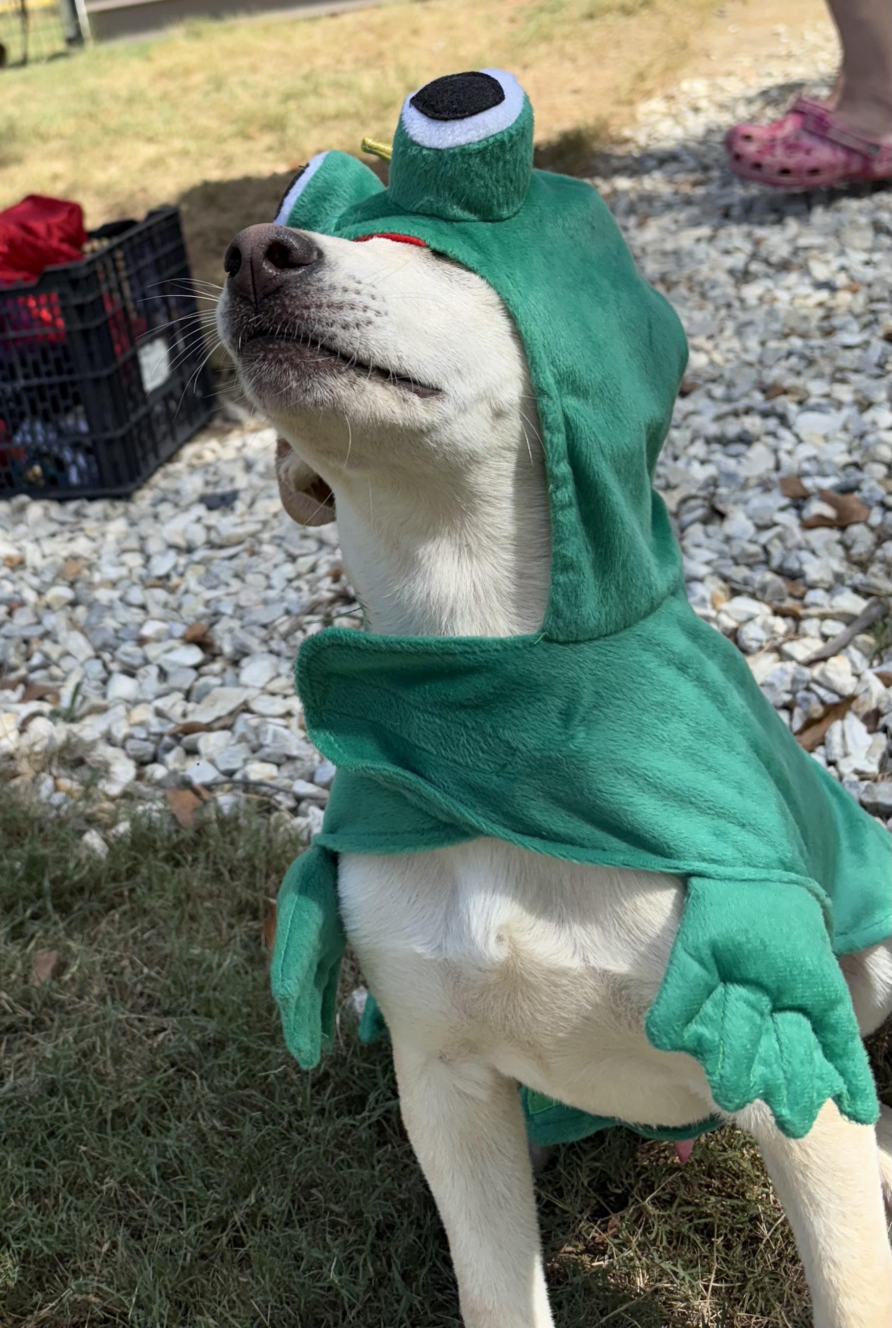 Kenai