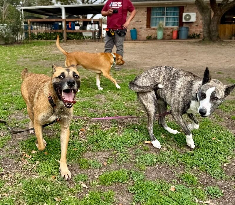 Summer Smiles The Sunshine Girl — thumbnail 5