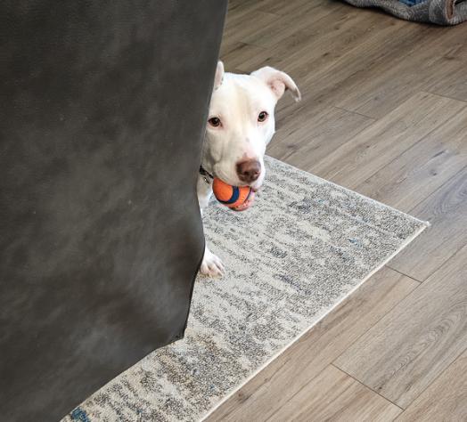 Wiggles — thumbnail 2