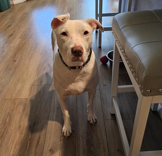 Wiggles — thumbnail 3