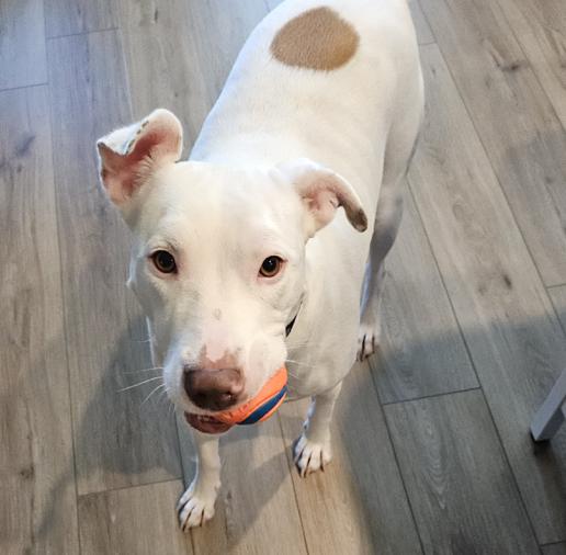 Wiggles — thumbnail 4