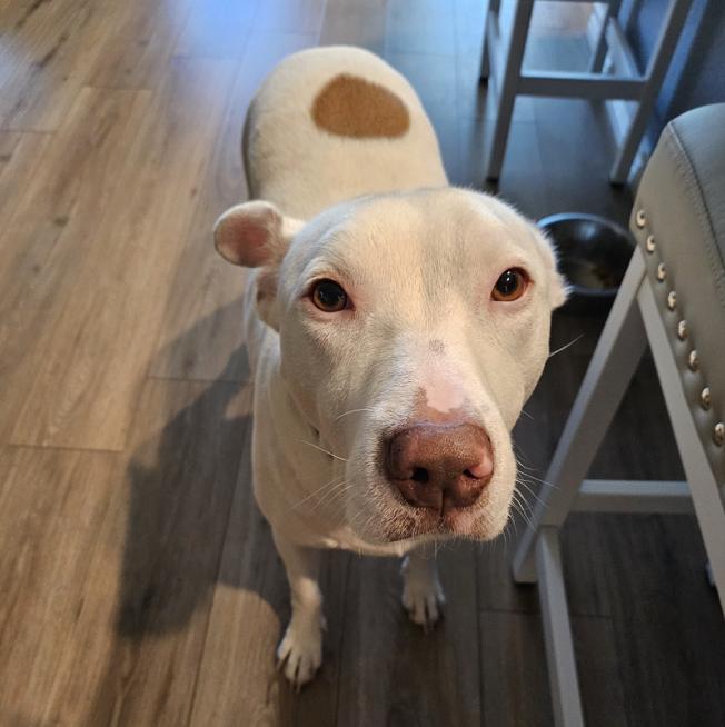 Wiggles — thumbnail 5