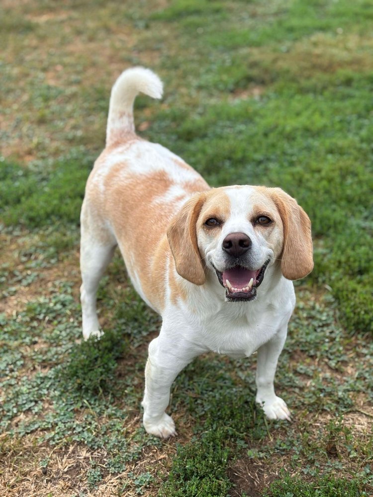 Hobbs — thumbnail 2