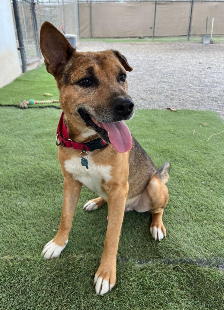 Jimbo — thumbnail 3