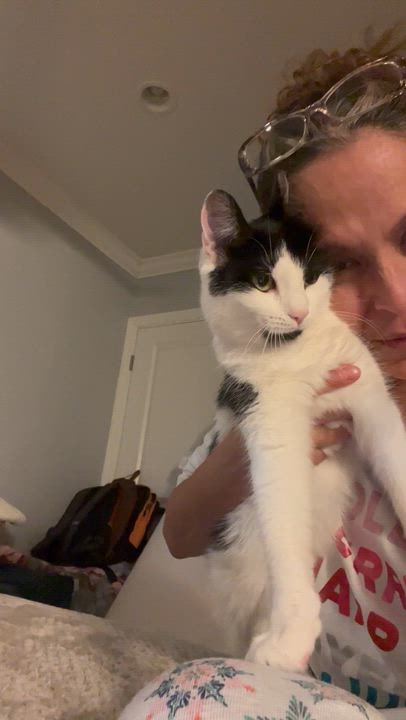 Enlarge Cover Girl , a ADOPTABLE mixed breed in Mahopac, NY video 1/4