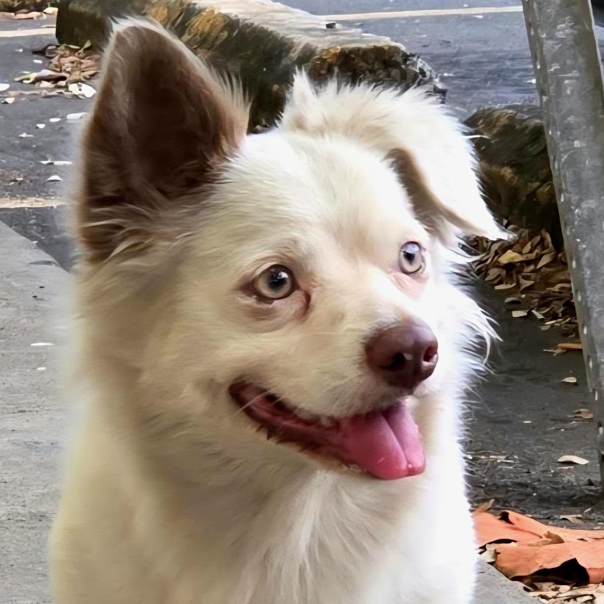 Geo "all  Loving thumbnail 2