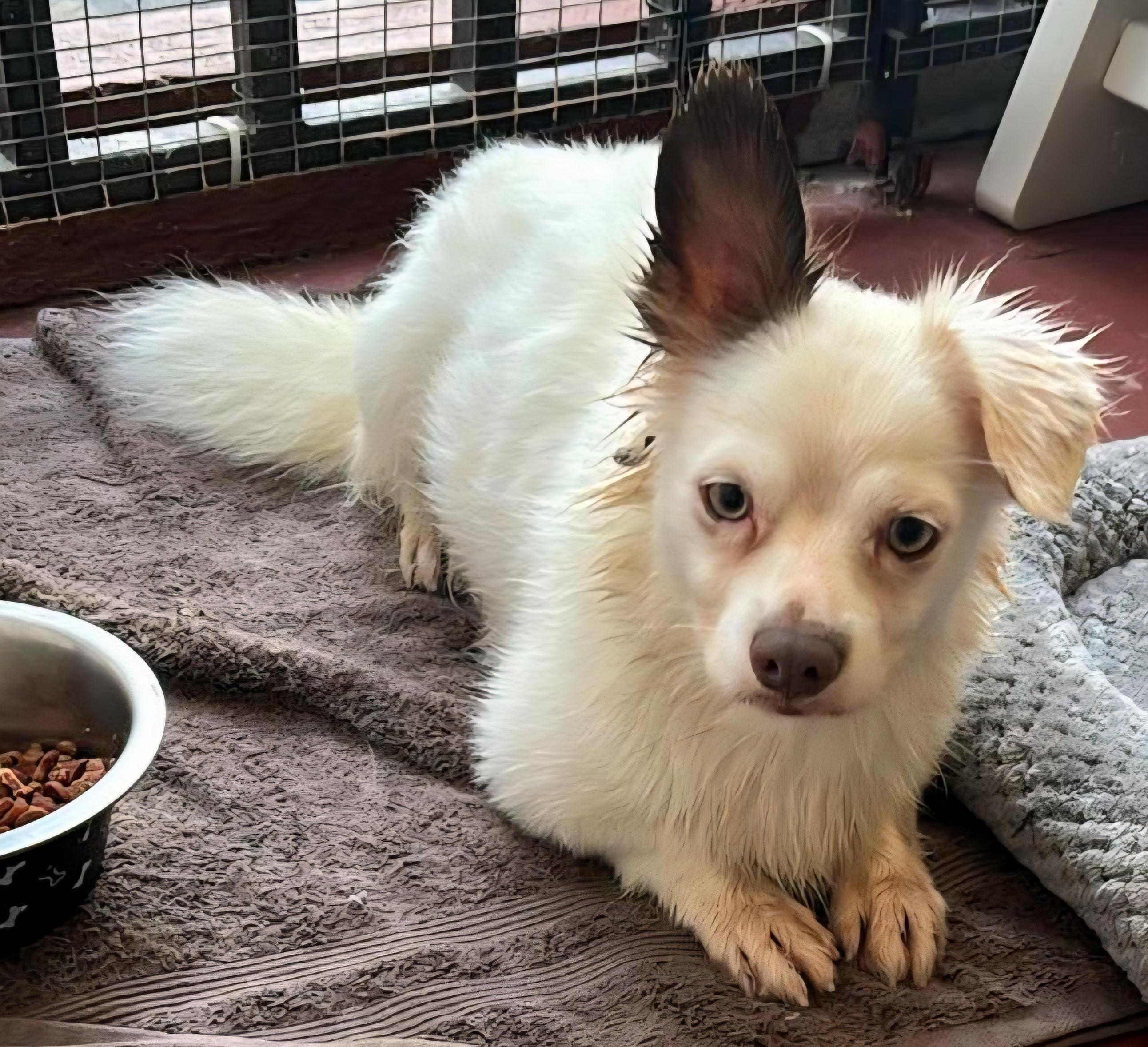 Geo "all  Loving thumbnail 3