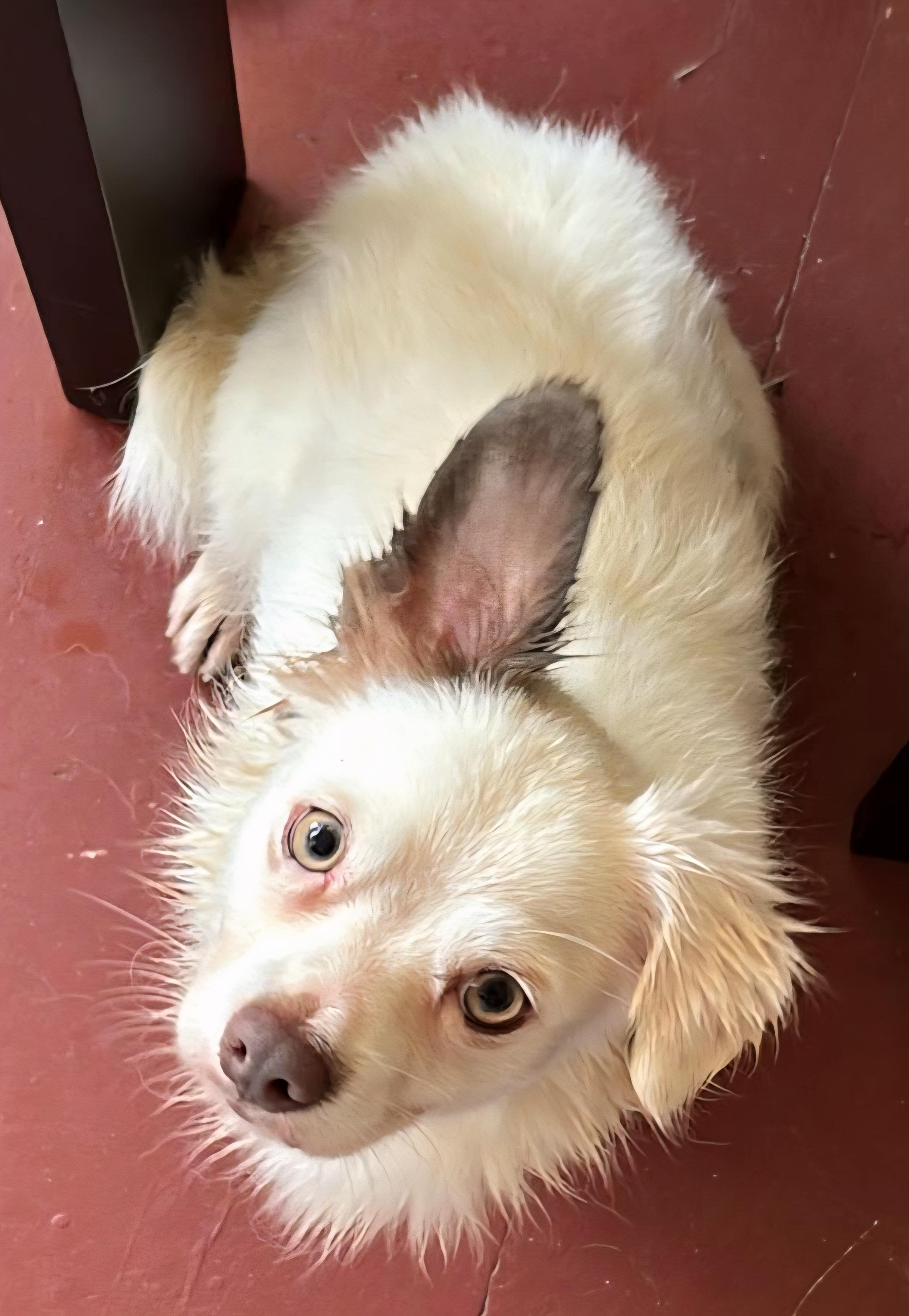 Geo "all  Loving thumbnail 4